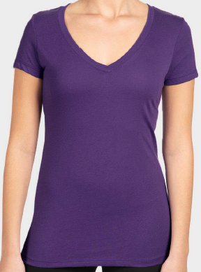 Ladies V-Neck T-Shirt